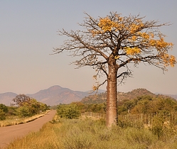 Afrika - galerie 1 (horizontální)