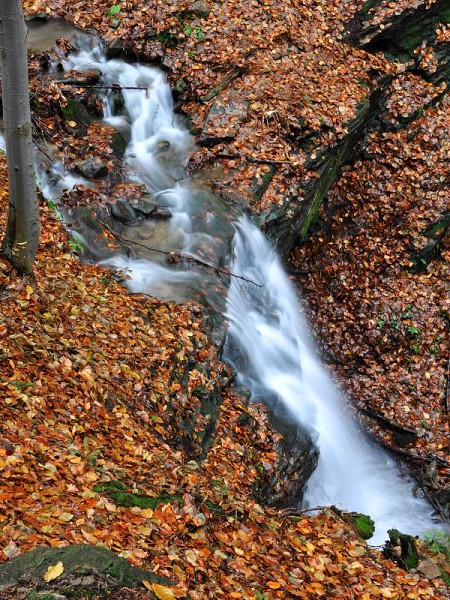 Jest��b� vodop�d 08 