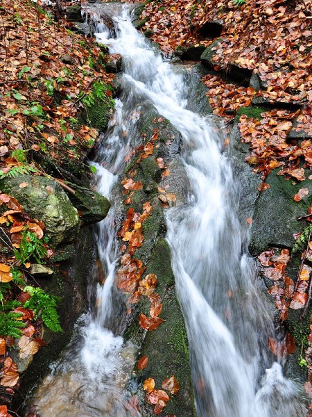 Jest��b� vodop�d 10 