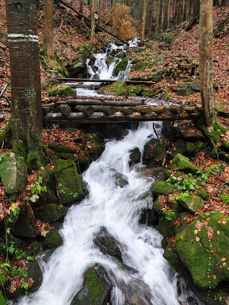 Jest��b� vodop�d 13 