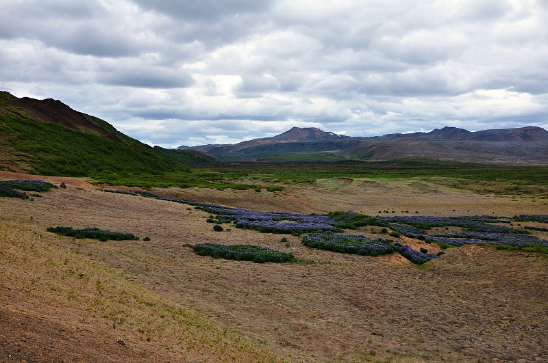 Island 2012