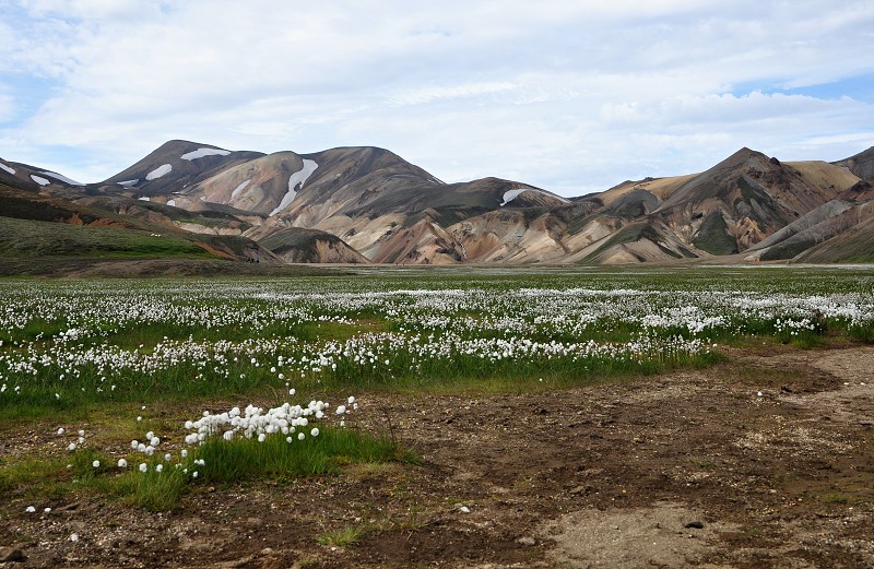 Island 2012