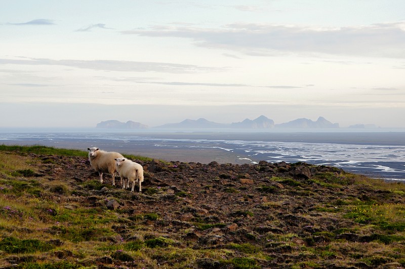 Island 2012
